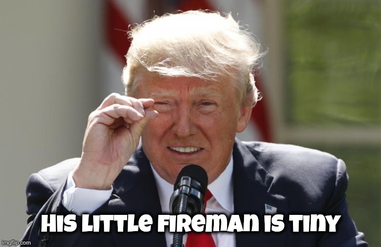 trump-tiny-measurement | His little fireman is tiny | image tagged in trump-tiny-measurement | made w/ Imgflip meme maker
