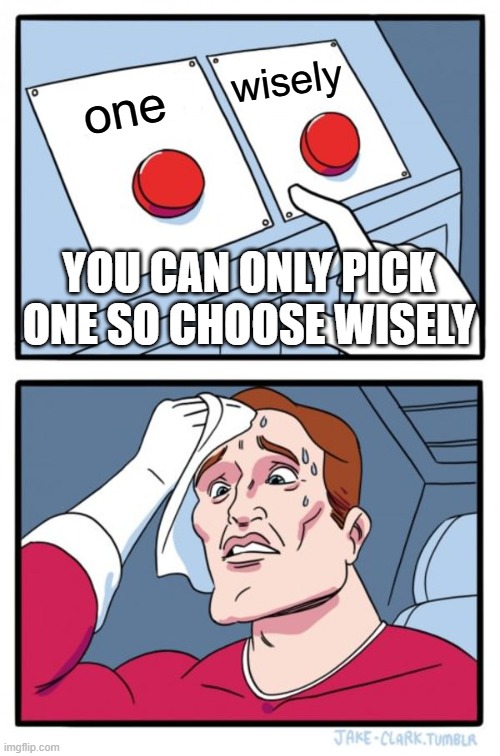 choose | wisely; one; YOU CAN ONLY PICK ONE SO CHOOSE WISELY | image tagged in memes,two buttons | made w/ Imgflip meme maker