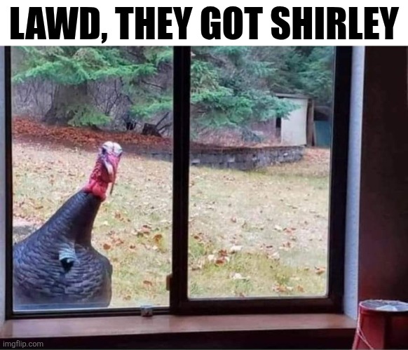 Lawd, They Got Shirley | LAWD, THEY GOT SHIRLEY | image tagged in chrisjoines1 | made w/ Imgflip meme maker
