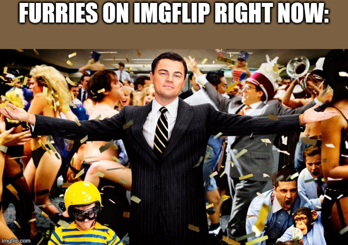 Wolf Party | FURRIES ON IMGFLIP RIGHT NOW: | image tagged in wolf party | made w/ Imgflip meme maker