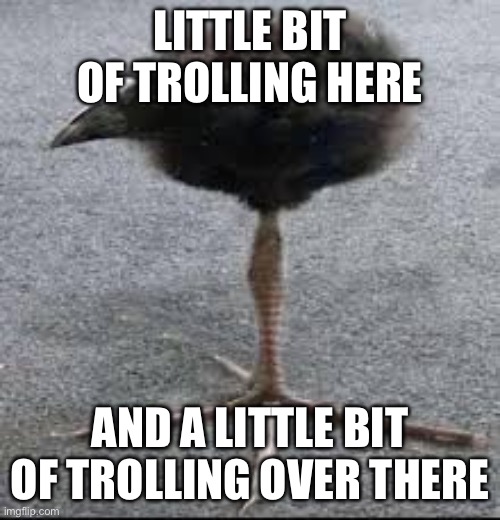Tripod Bird | LITTLE BIT OF TROLLING HERE; AND A LITTLE BIT OF TROLLING OVER THERE | image tagged in tripod bird | made w/ Imgflip meme maker