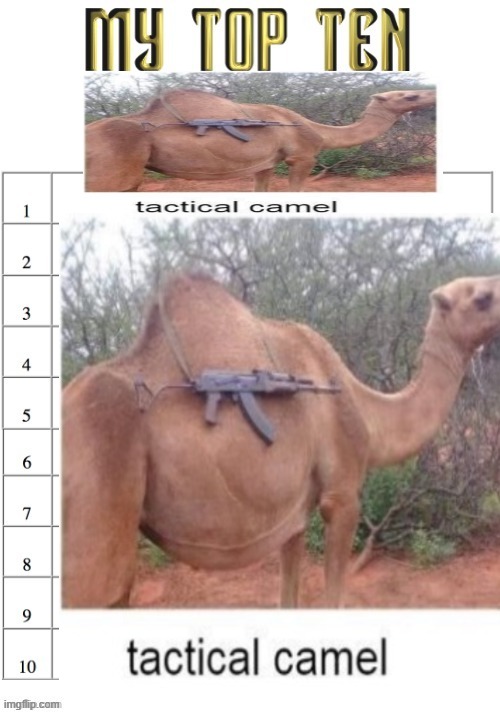 Top ten list better | image tagged in top ten list better | made w/ Imgflip meme maker