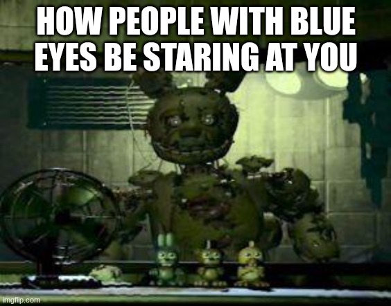 FNAF Springtrap in window | HOW PEOPLE WITH BLUE EYES BE STARING AT YOU | image tagged in fnaf springtrap in window | made w/ Imgflip meme maker