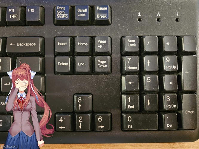 Whoever mixed up the arrow keys is getting fired | image tagged in wrong keyboard,monika,doki doki literature club,ddlc,you had one job | made w/ Imgflip meme maker