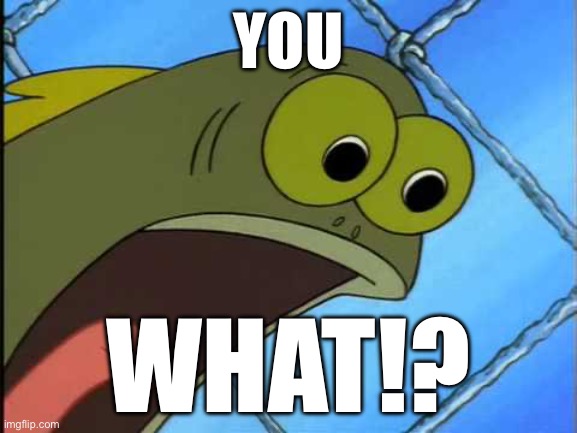 YOU WHAT!? | image tagged in you what | made w/ Imgflip meme maker