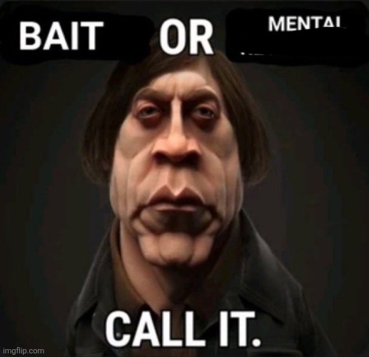 bait or mental retardation | image tagged in bait or mental retardation | made w/ Imgflip meme maker