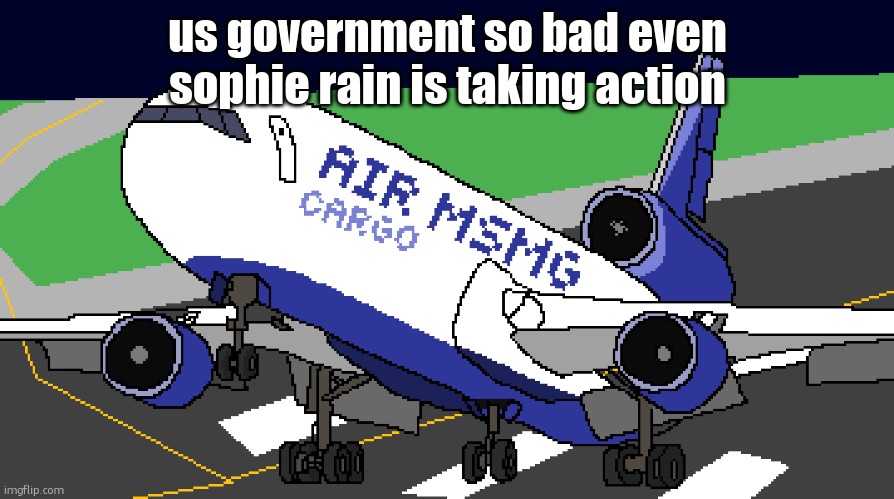 air msmg cargo | us government so bad even sophie rain is taking action | image tagged in air msmg cargo | made w/ Imgflip meme maker