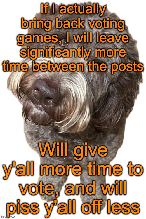 I already have a concept for the next voting game | If I actually bring back voting games, I will leave significantly more time between the posts; Will give y'all more time to vote, and will piss y'all off less | image tagged in norther's dog | made w/ Imgflip meme maker