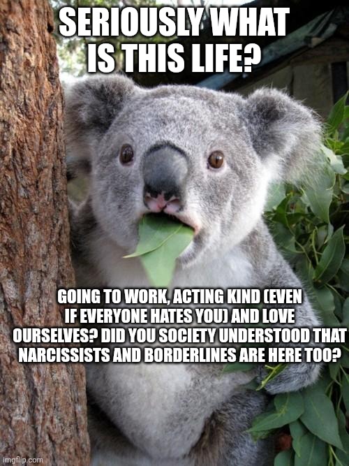 Surprised Koala Meme | SERIOUSLY WHAT IS THIS LIFE? GOING TO WORK, ACTING KIND (EVEN IF EVERYONE HATES YOU) AND LOVE OURSELVES? DID YOU SOCIETY UNDERSTOOD THAT NARCISSISTS AND BORDERLINES ARE HERE TOO? | image tagged in memes,surprised koala | made w/ Imgflip meme maker