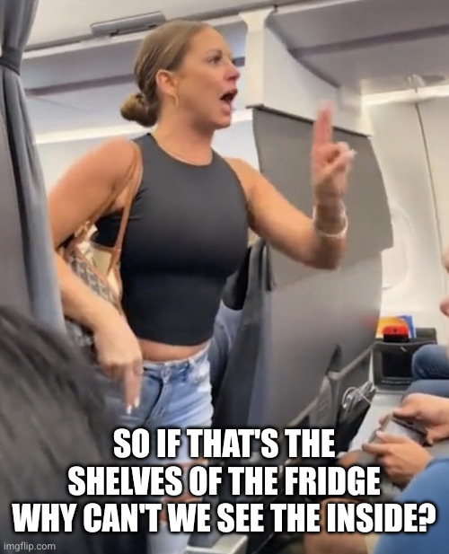 Plane Lady Not Real | SO IF THAT'S THE SHELVES OF THE FRIDGE WHY CAN'T WE SEE THE INSIDE? | image tagged in plane lady not real | made w/ Imgflip meme maker