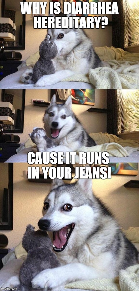 Bad Pun Dog Meme | WHY IS DIARRHEA HEREDITARY? CAUSE IT RUNS IN YOUR JEANS! | image tagged in memes,bad pun dog | made w/ Imgflip meme maker