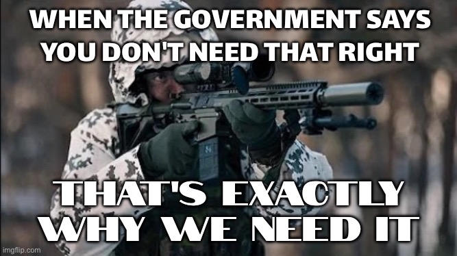 WHEN THE GOVERNMENT SAYS 'YOU DON'T NEED THAT RIFLE'; BUT HISTORY SAYS OTHERWISE | WHEN THE GOVERNMENT SAYS YOU DON'T NEED THAT RIGHT; THAT'S EXACTLY WHY WE NEED IT | image tagged in letsgo,history,evil government,second amendment,gun rights,big government | made w/ Imgflip meme maker