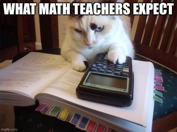 Math cat | WHAT MATH TEACHERS EXPECT | image tagged in math cat | made w/ Imgflip meme maker