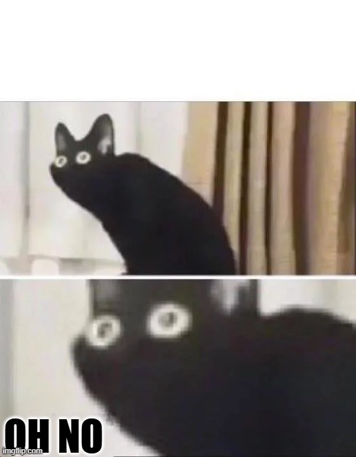 Oh No Black Cat | OH NO | image tagged in oh no black cat | made w/ Imgflip meme maker