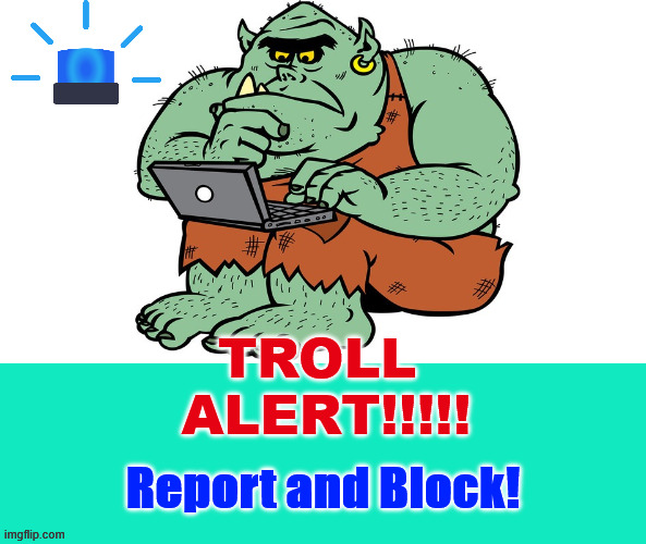 Troll Alert! | TROLL  ALERT!!!!! Report and Block! | image tagged in troll | made w/ Imgflip meme maker