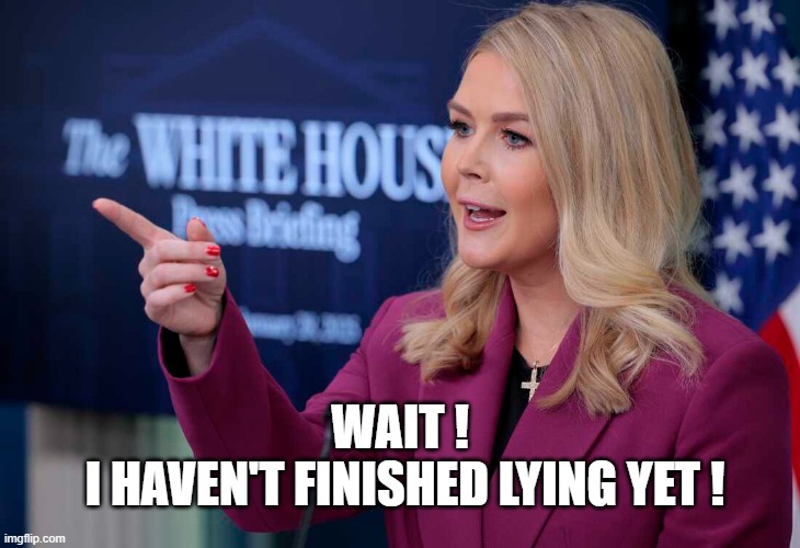 WAIT !
 I HAVEN'T FINISHED LYING YET ! | image tagged in white house,lying | made w/ Imgflip meme maker