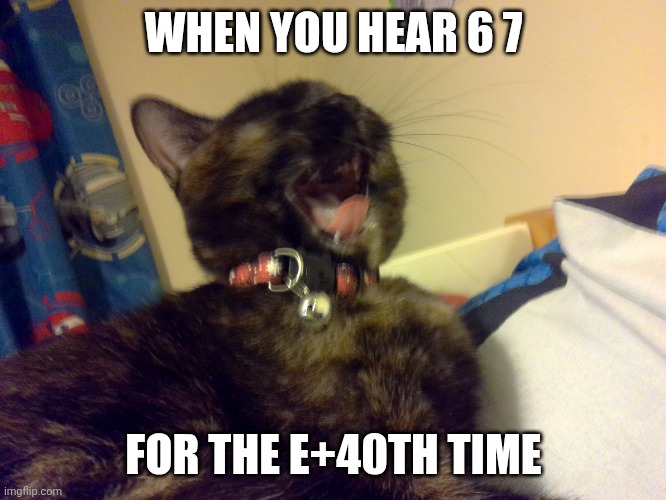 Stop itwith 6 7! | WHEN YOU HEAR 6 7; FOR THE E+40TH TIME | image tagged in mad cat,anti 67 | made w/ Imgflip meme maker