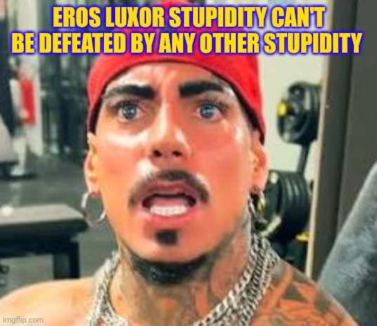 EROS LUXOR STUPIDITY CAN'T BE DEFEATED BY ANY OTHER STUPIDITY | made w/ Imgflip meme maker