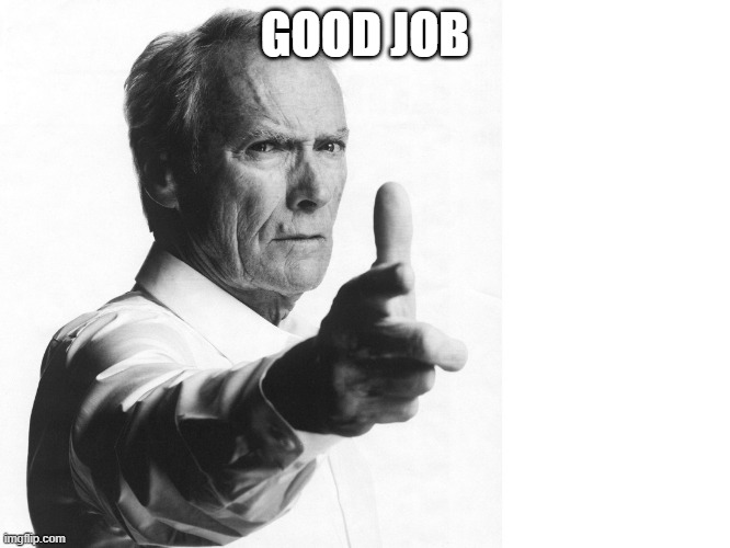 WELL DONE SON! | GOOD JOB | image tagged in well done son | made w/ Imgflip meme maker