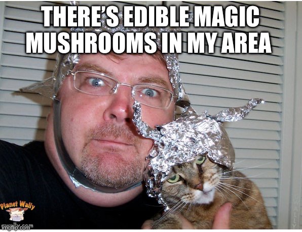 tin foil hat conspiracy theory | THERE’S EDIBLE MAGIC MUSHROOMS IN MY AREA | image tagged in tin foil hat conspiracy theory | made w/ Imgflip meme maker