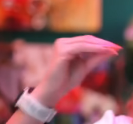 Birdhand Blank Meme Template