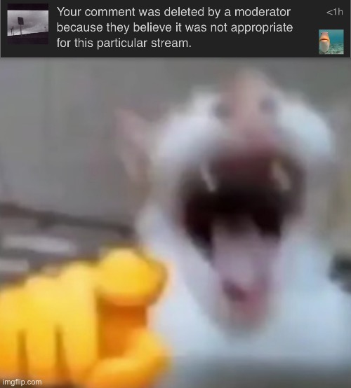 image tagged in cat pointing and laughing | made w/ Imgflip meme maker