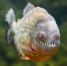 scary pirana Blank Meme Template