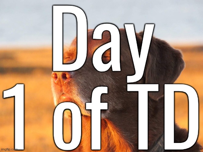 i think the ai is exaggerating how i describe myself | Day 1 of TD | image tagged in cooked dog | made w/ Imgflip meme maker