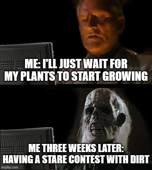 I'LL JUST WAIT FOR MY PLANTS TO START GROWING | ME: I'LL JUST WAIT FOR MY PLANTS TO START GROWING; ME THREE WEEKS LATER: HAVING A STARE CONTEST WITH DIRT | image tagged in memes,i'll just wait here,plants,plants vs zombies,gardening,garden | made w/ Imgflip meme maker