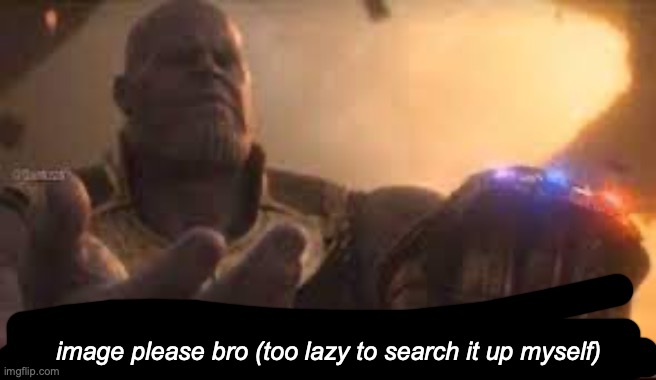 link bro | image please bro (too lazy to search it up myself) | image tagged in link bro | made w/ Imgflip meme maker