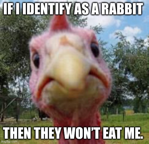 IF I IDENTIFY AS A RABBIT THEN THEY WON’T EAT ME. | image tagged in turkey | made w/ Imgflip meme maker