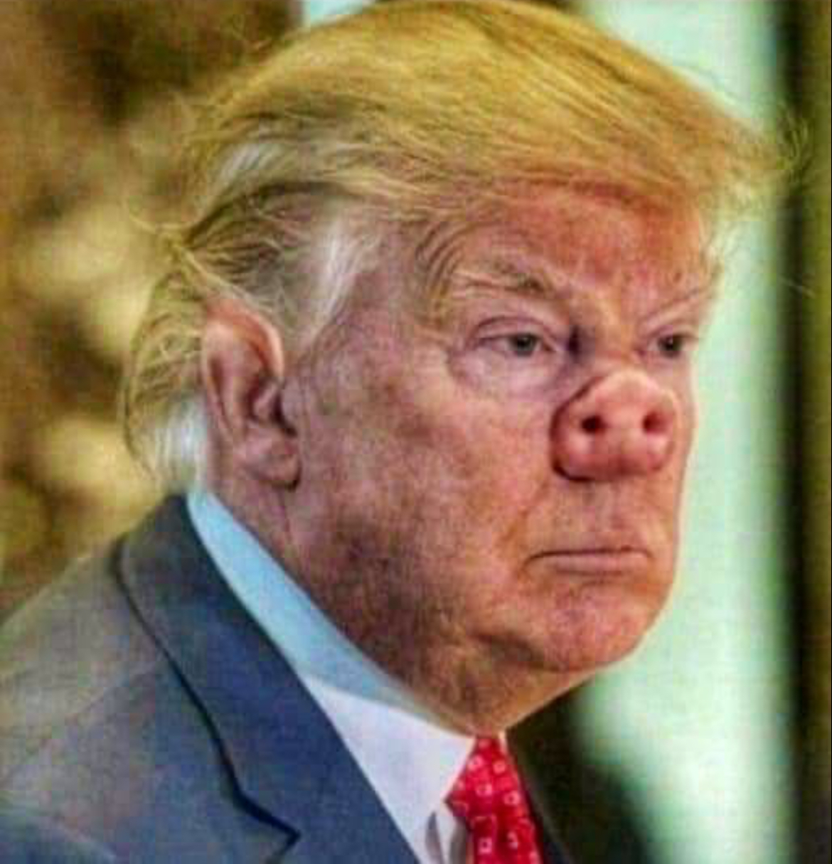 Trump Pig Blank Meme Template