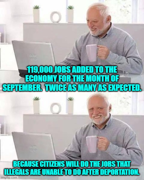 That or simply more jobs were created period.  Either one works. | 119,000 JOBS ADDED TO THE ECONOMY FOR THE MONTH OF SEPTEMBER.  TWICE AS MANY AS EXPECTED. BECAUSE CITIZENS WILL DO THE JOBS THAT ILLEGALS ARE UNABLE TO DO AFTER DEPORTATION. | image tagged in hide the pain harold | made w/ Imgflip meme maker