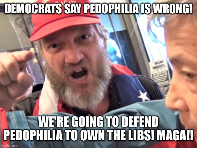 Angry Trump Supporter | DEMOCRATS SAY PEDOPHILIA IS WRONG! WE'RE GOING TO DEFEND PEDOPHILIA TO OWN THE LIBS! MAGA!! | image tagged in angry trump supporter | made w/ Imgflip meme maker