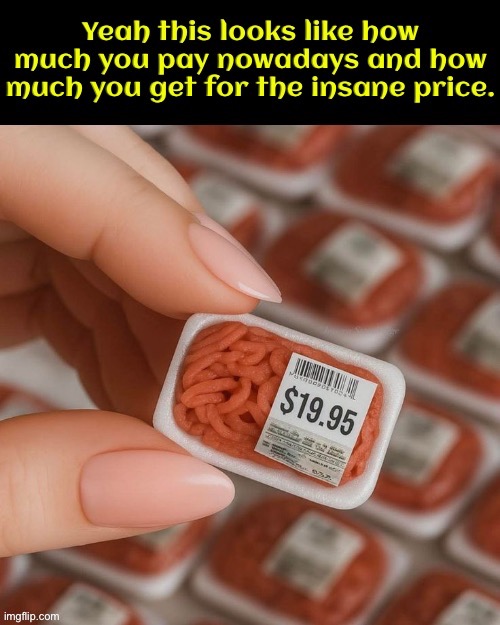 Everything Nowadays | image tagged in relatable memes,relatable,expensive,inflation,ridiculous,globalism | made w/ Imgflip meme maker