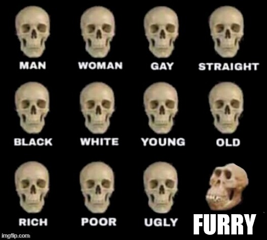 idiot skull | FURRY | image tagged in idiot skull | made w/ Imgflip meme maker
