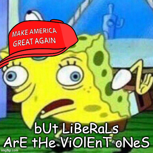 triggerpaul | bUt LiBeRaLs ArE tHe ViOlEnT oNeS | image tagged in triggerpaul | made w/ Imgflip meme maker