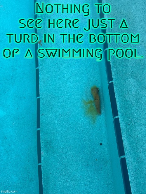 Just A Turd | Nothing to see here just a turd in the bottom of a swimming pool. | image tagged in turds,swimming pool,nothing to see here,funny memes,gross,potty humor | made w/ Imgflip meme maker