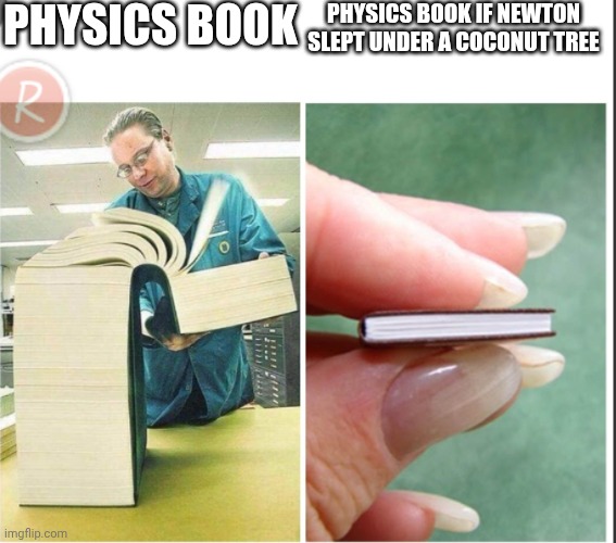 Well, if this happened, I'd hate being Isaac Newton | PHYSICS BOOK; PHYSICS BOOK IF NEWTON SLEPT UNDER A COCONUT TREE | image tagged in big book small book text boxes fixed,physics | made w/ Imgflip meme maker