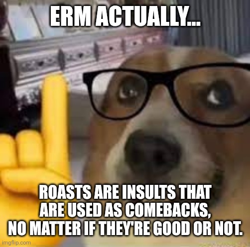 nerd dog | ERM ACTUALLY... ROASTS ARE INSULTS THAT ARE USED AS COMEBACKS,
NO MATTER IF THEY'RE GOOD OR NOT. | image tagged in nerd dog | made w/ Imgflip meme maker