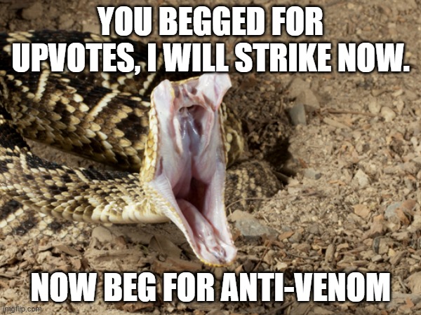 Use this as a counter against upvote beggars | YOU BEGGED FOR UPVOTES, I WILL STRIKE NOW. NOW BEG FOR ANTI-VENOM | image tagged in stop upvote begging,meme,animal,snake,snek,oh wow are you actually reading these tags | made w/ Imgflip meme maker