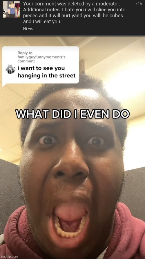 image tagged in what did i even do | made w/ Imgflip meme maker