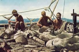 Kon-Tiki Blank Meme Template