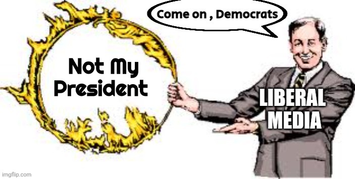 These Retards are back | Not My President | image tagged in jumping through hoops,insurrection,well yes but actually no,trump derangement syndrome,politicians suck | made w/ Imgflip meme maker