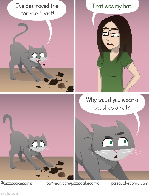 She didn’t appreciate his bravery… | image tagged in cats,comics,pizzacake,beast,destroyed,hat | made w/ Imgflip meme maker