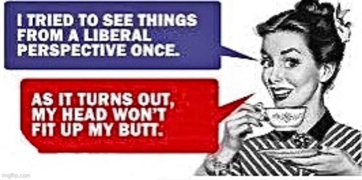 Liberal Perspective | image tagged in libtards,head up ass,liberal privilege,brain dead,brainwashed,robots | made w/ Imgflip meme maker