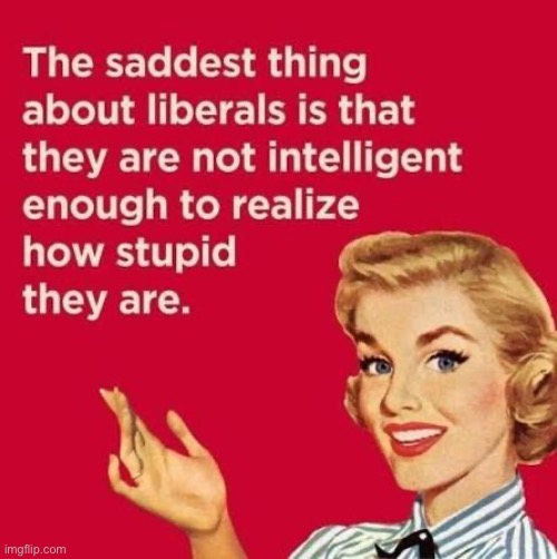 Pretty Sad | image tagged in libtards,liberal logic,duhhh dumbass,sad but true,brainwashed,zombies | made w/ Imgflip meme maker