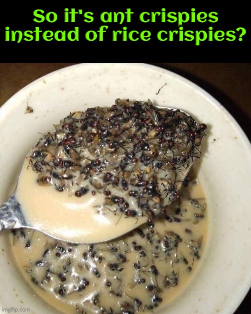 Ant Crispies | So it's ant crispies instead of rice crispies? | image tagged in ants,cursed images,breakfast,bugs,what the fu-,excuse me what the frick | made w/ Imgflip meme maker