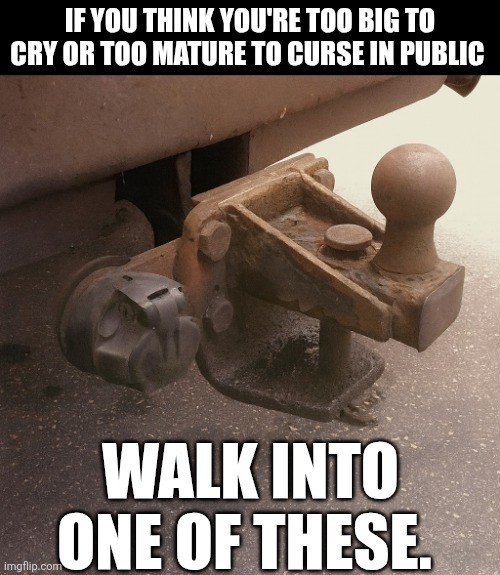 If You Think You're Too Big To Cry | IF YOU THINK YOU'RE TOO BIG TO CRY OR TOO MATURE TO CURSE IN PUBLIC; WALK INTO ONE OF THESE. | image tagged in chrisjoines1 | made w/ Imgflip meme maker