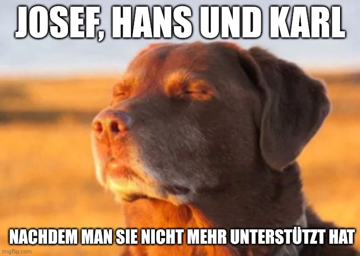 Separatisten 1923 | JOSEF, HANS UND KARL; NACHDEM MAN SIE NICHT MEHR UNTERSTÜTZT HAT | image tagged in history,history memes,german | made w/ Imgflip meme maker